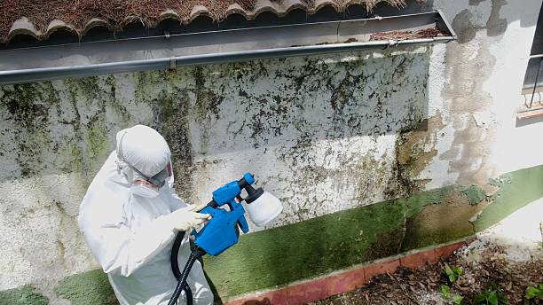 Top rated local Attic Mold Remediation specialists in Tualatin, OR
